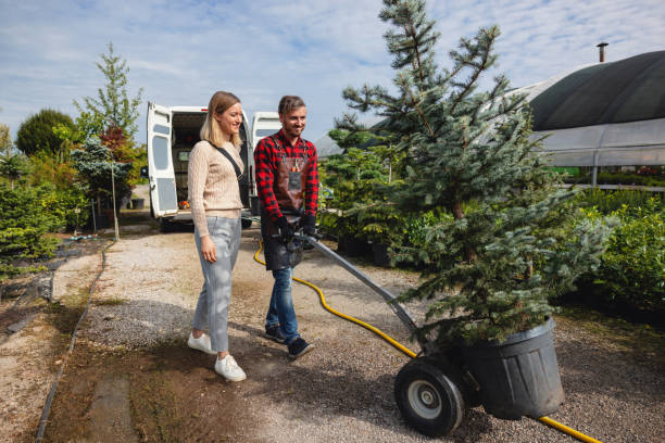 Best Firewood Processing and Delivery  in Head Of The Harbor, NY